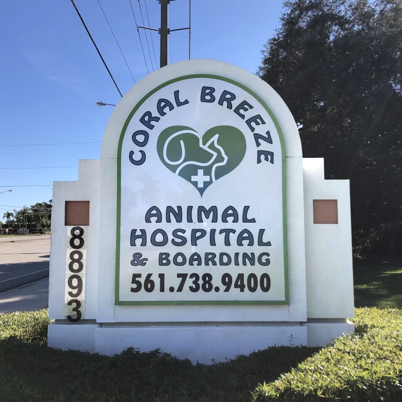 Coral Breeze Animal Hospital in Boynton Beach